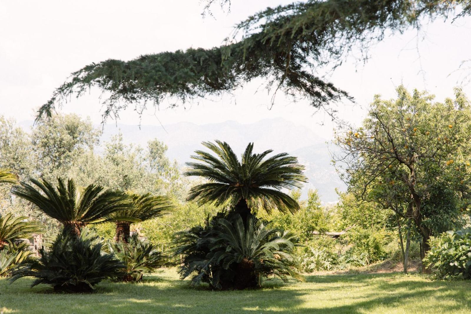 Capo Santa Fortunata Sorrento Esterno foto